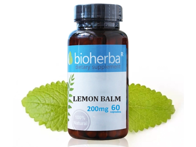 Lemon Balm: The Natural Dietary Supplement You Need for Better Focus and Mental Clarity